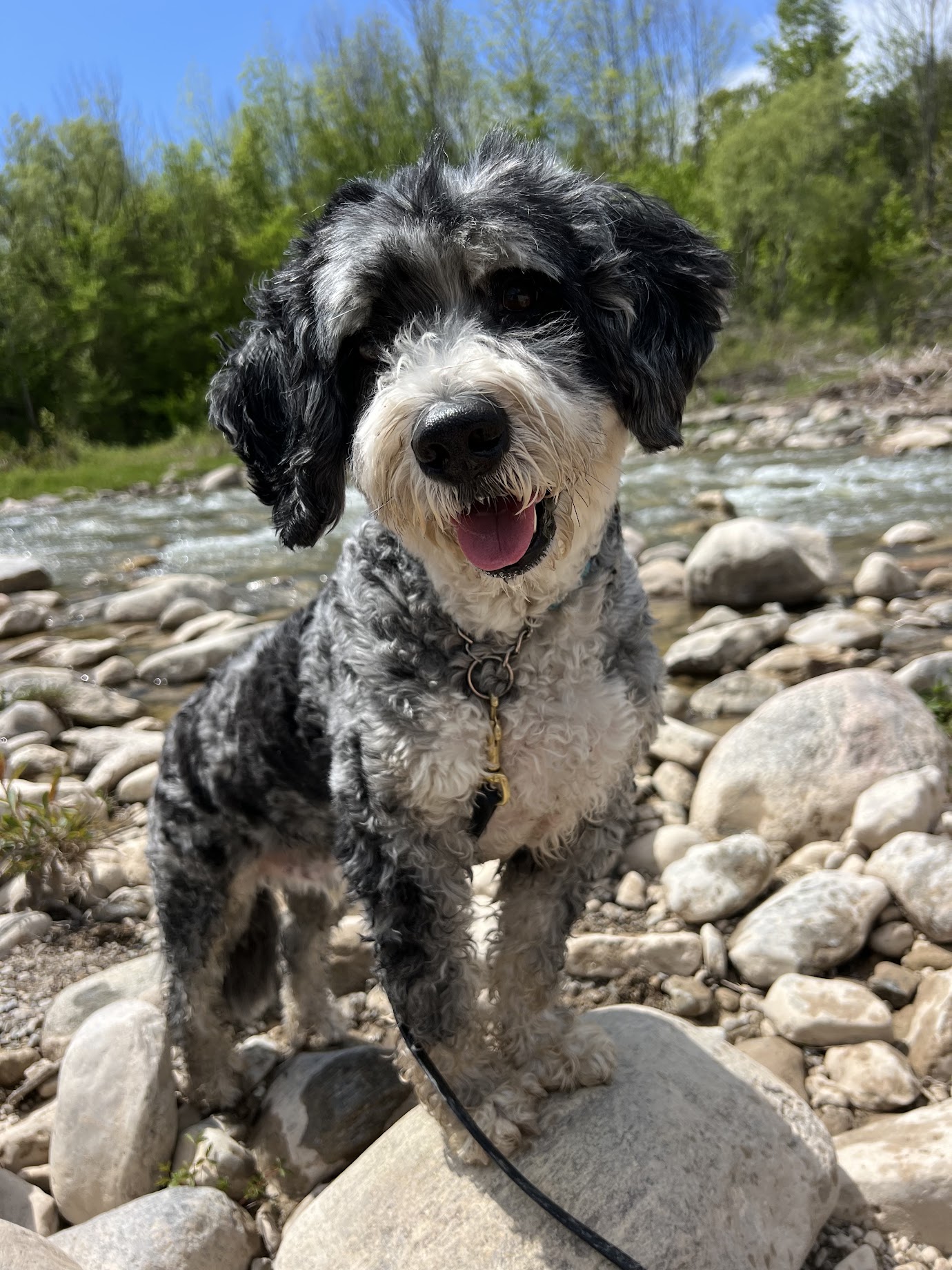 Ranger